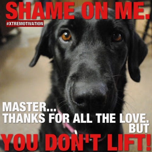 xtremotivation:  Xtremotivation memes packs for your tumblr or iG pages ! Share the motivation! 
