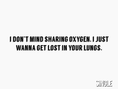 favorite lyrics