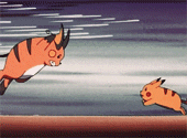 shelgon: Pikachu vs. Raichu 