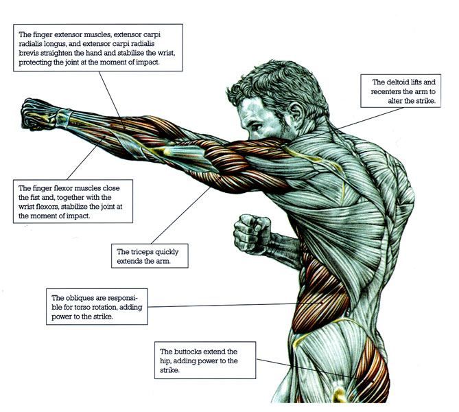 Best Hajime no ippo workout 