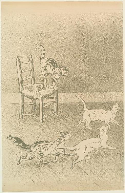 theophile-steinlen: Cats race, 1898, Theophile Steinlen