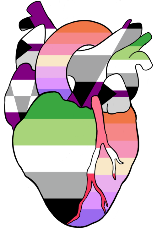 Demisexual, Aegosexual, Aromantic, Lesbiangender, and She/Her Pronouns Anatomical Heart for Anon