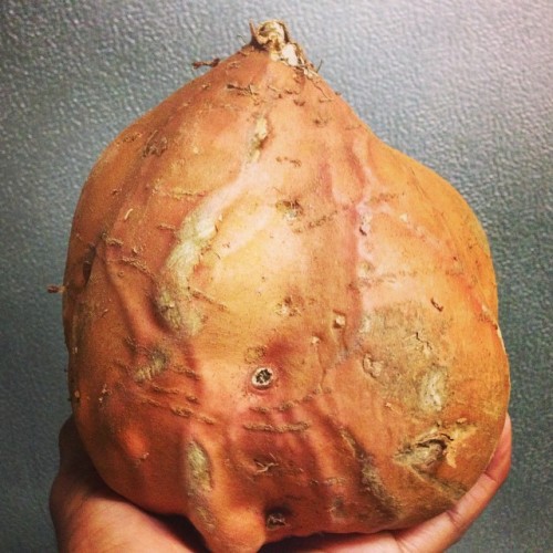 One big ass #yam #whoa #myjob #food