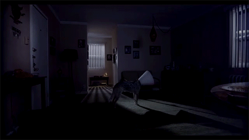 sizvideos:  Input/Output is a short movie that changes reality and screw up your