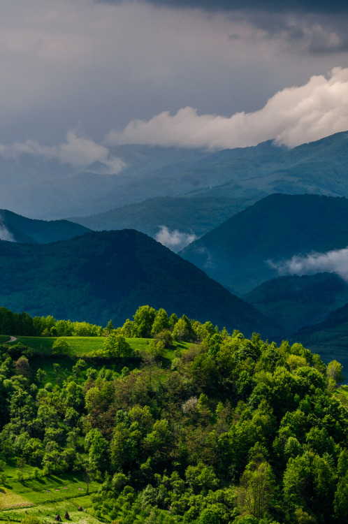 wanderthewood:Vânătările Ponorului - Dumești, Romania by Sergiu Bacioiu