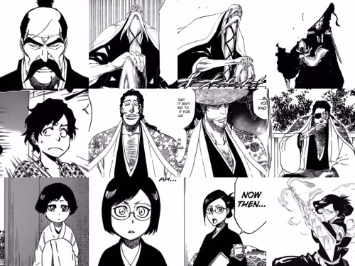 my-fanworks:Members of the Gotei throughout the years