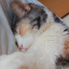 scratchcozy