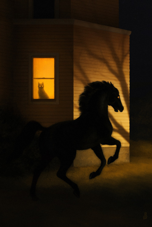 dappermouth: There’s a shivering light in the street tonight, strange shadows on the lawn–a black horse running through the yards and vanishing at dawn.