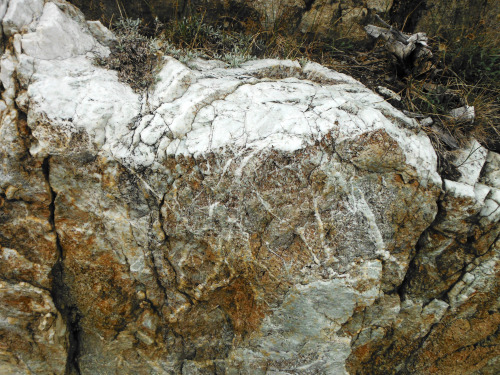 Quartz. John Muir Wilderness, Sierra Nevada Mountains, California, USA. Photo by Van Miller