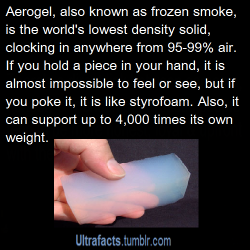 watermelonsarerad:  dephoria:  watermelonsarerad:  ultrafacts:  Source For more posts like this, CLICK HERE to follow Ultrafacts   IMAGINE HAVING A BED OUT OF THAT  LIKE SLEEPING ON A LITERAL CLOUD  THIS PERSON GETS IT 