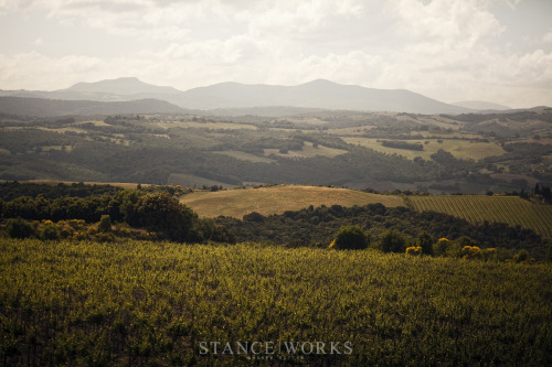 singletesticle:  tastecannotbebought:  the80sareforever:  I had the opportunity of a lifetime: to drive an E28 M5 through the rolling hills of Italy. Andrew and I spent a week in Tuscany, and the latest StanceWorks article highlights what made the trip