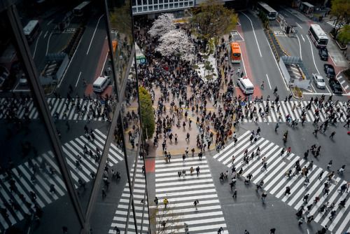 Street scene, Tokyoinstagram : @446i