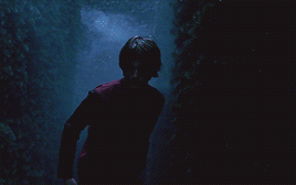 Harry Potter And The Goblet Of Fire (2005) Dir. Mike Newell
