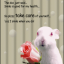 akittensubmissive