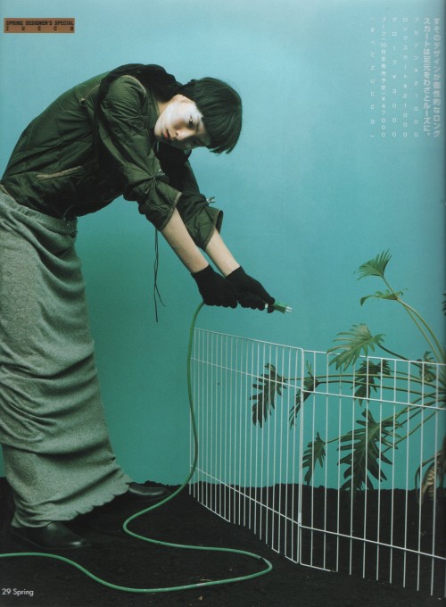 6qth:  spring 1998 8/10 -   秋に実るズッカ  