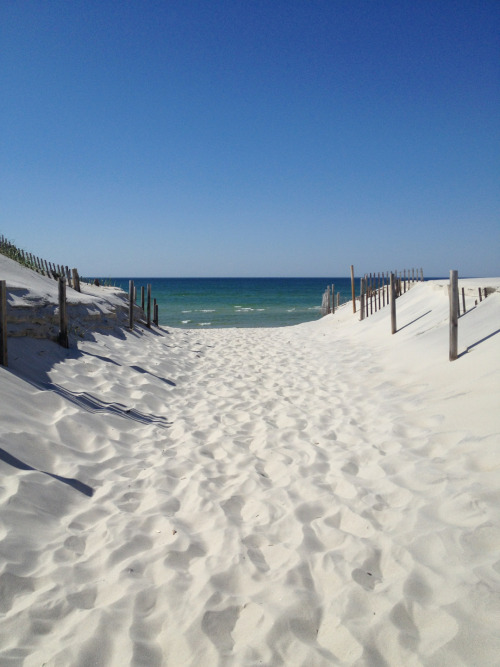 Everything Cape Cod