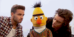 styzles-deactivated20151205:   Sesame Street: One Direction and Bert Sing the Alphabet 