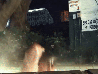 shreddedgifs:  Wishing you all a Happy New Year!Thank you for your support over the