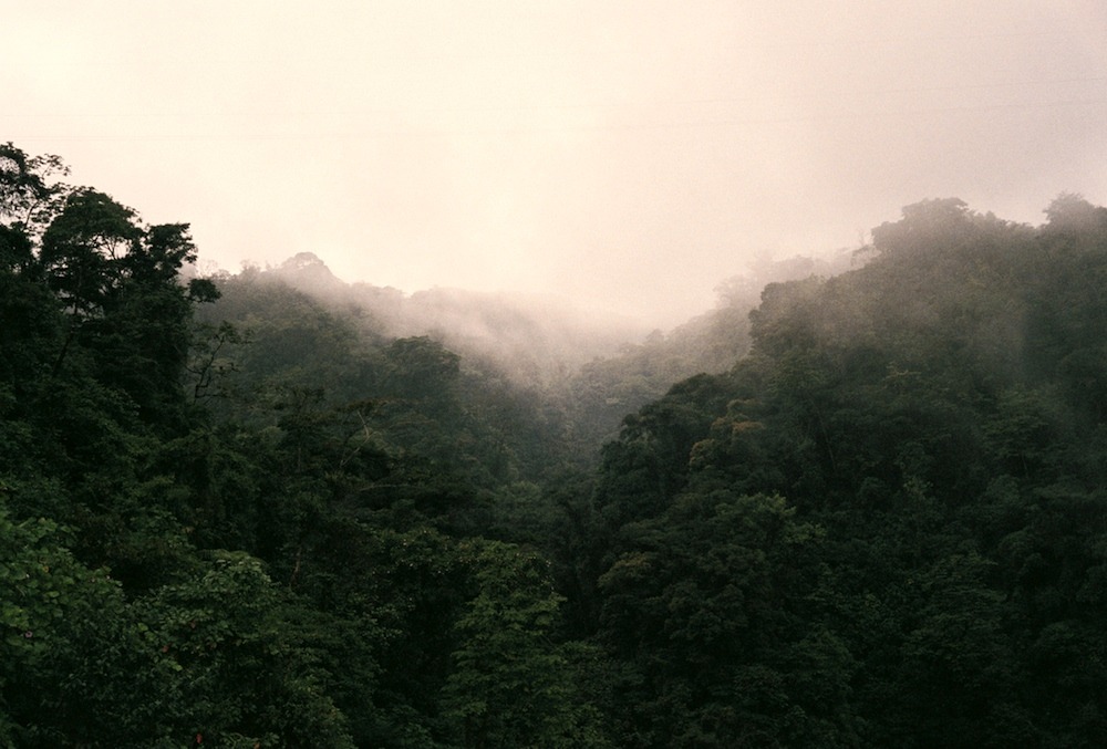 cerceos:    Mekael Dawson  Website | Tumblr | Instagram 