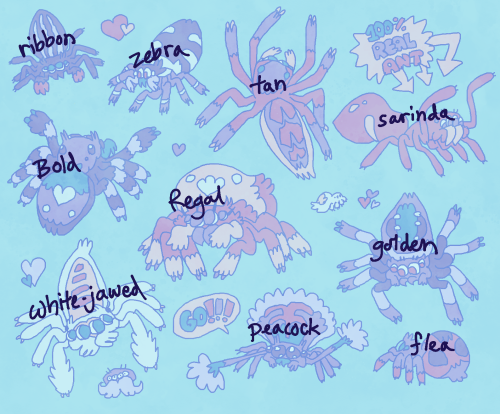 here are the names of the buggy friends I’ve drawn recently, thought it might be interesting t
