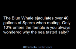 blue-gold-demigod-clouds:  ultrafacts:  More facts HERE   noooooooooooo