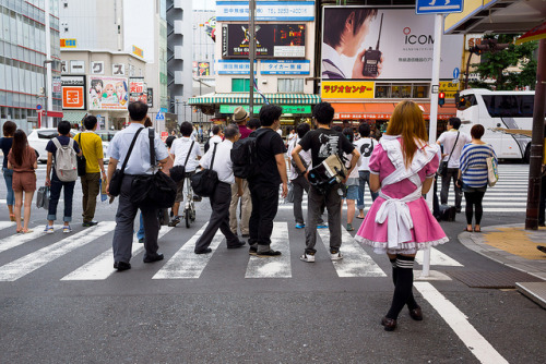 Maid in Akihabara by Unknownlabel on Flickr.