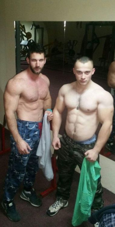 Porn serbian-muscle-men:  young Serbian powerlifter photos