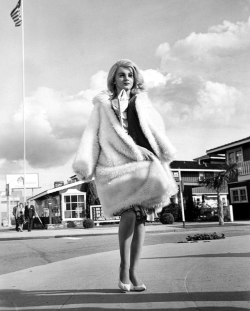 50sbabyy: Ann Margret. 1960′s