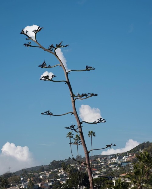 itscolossal: The Serendipitous Clouds and Faux Reflections of Photographer Kanghee Kim