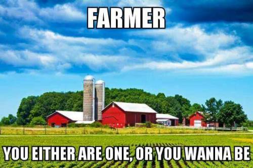 farming memes