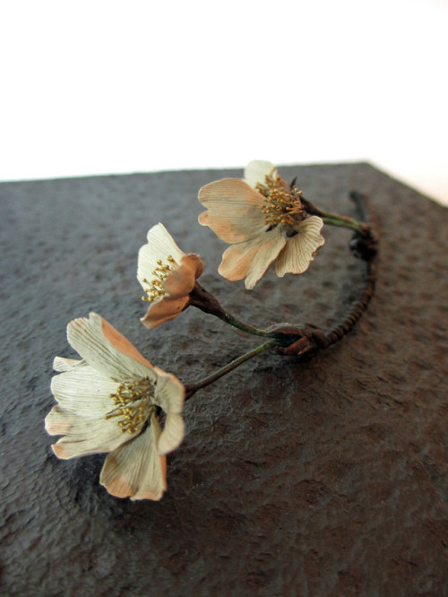 FLORAL SCULPTURES AND JEWELRY MADE FROM BRASS, SILVER, AND GOLD BY SHOTA SUZUKIFOLLOW MY AMP GOES TO