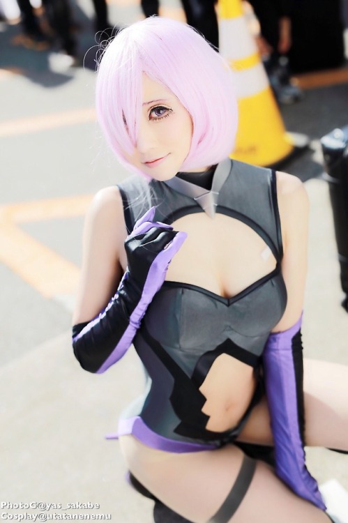 cosplayheaven:Mash Kyrielight | Fate Grand adult photos