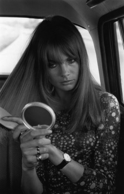 laviearose:Jean Shrimpton