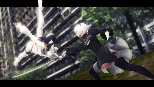 2B vs 2P *this is not an edit or a screenshot, this is 3D fanart* 