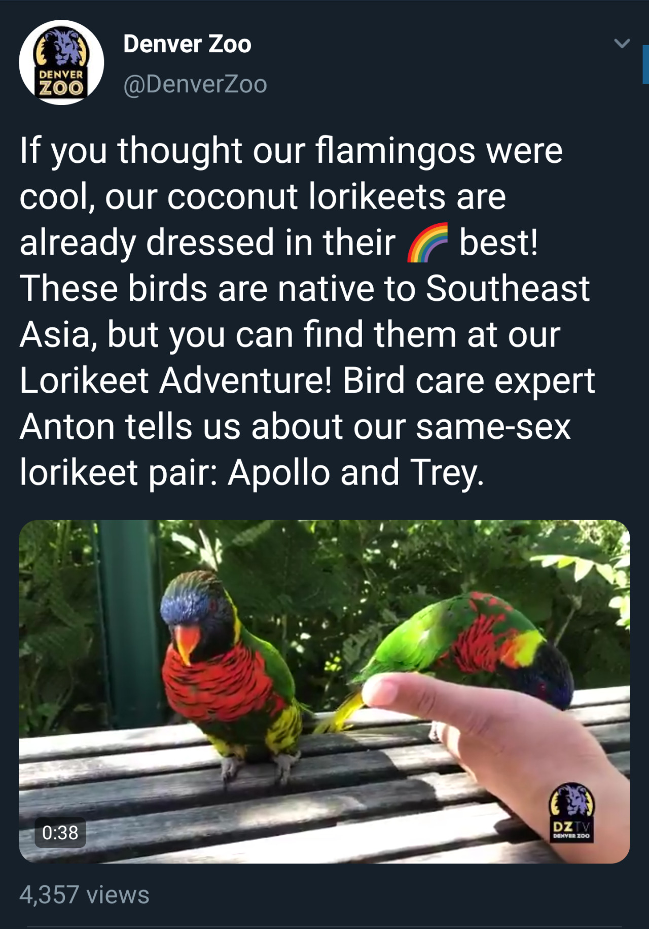 Porn Pics animetitle: Denver Zoo and its gay lorikeets