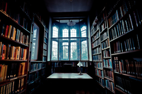 gladstoneslibrary:Books, books and more books…the tribulations of trying to concentrate when 