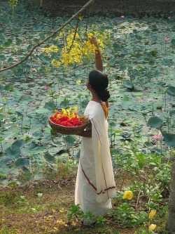 goddesswithinyou:  Kerala, India 