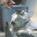 uznmaki:when i tell u i would die for mei-chan from the toba aquarium….