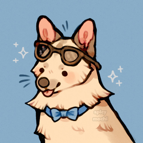 spicymochi:cool canine