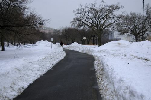 Snowy paths.