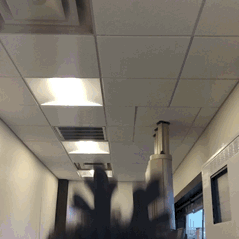 pumpkinmcqueen:  candiikismet:  🎄MERRY BLACK OUT!!!!🎄 So I woke up this morning
