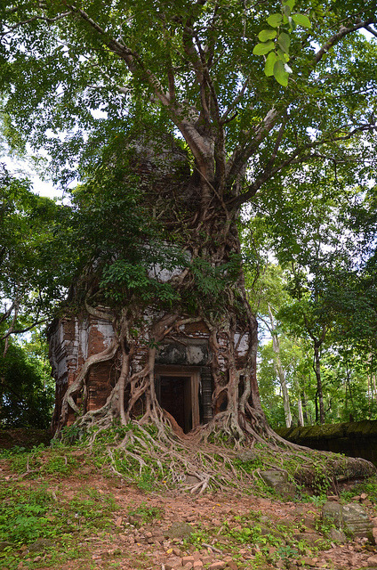 visitheworld:  Koh Ker, a remote archaeological site in northern Cambodia (by txikita69).