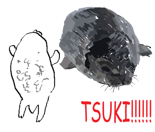 Tsuki Oh How I Love You