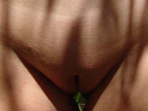 http://cameltoes-and-innie-pussy.tumblr.com/