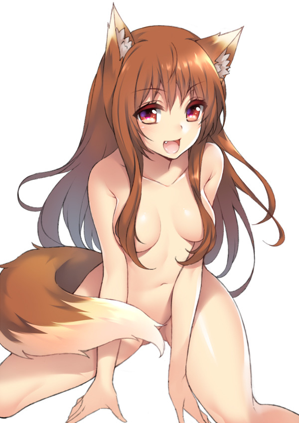 holo-the-wise-waifu: Source |   FUYA  