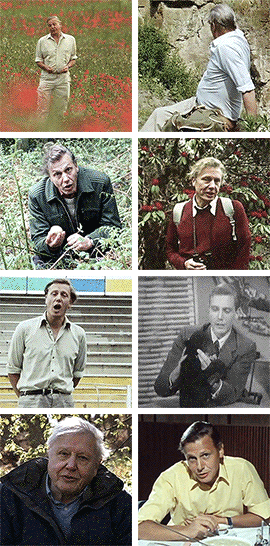 idlesuperstar:  Happy 90th Birthday David Attenborough [b: 8th May 1926] It seems