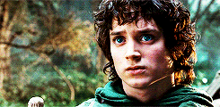 lady-arryn-deactivated20140718:  ✥  3. Three is Company:   “A fox passing through