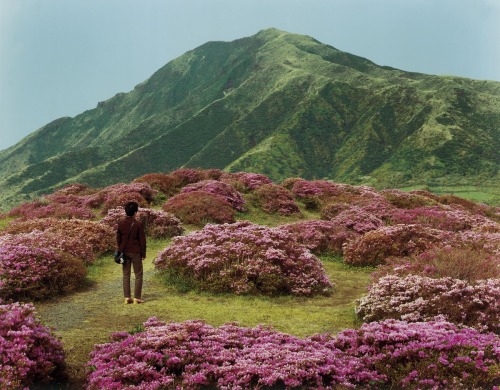 pleoros:  Takashi Yasumura, from the series ‘Nature Tracing’, 2003