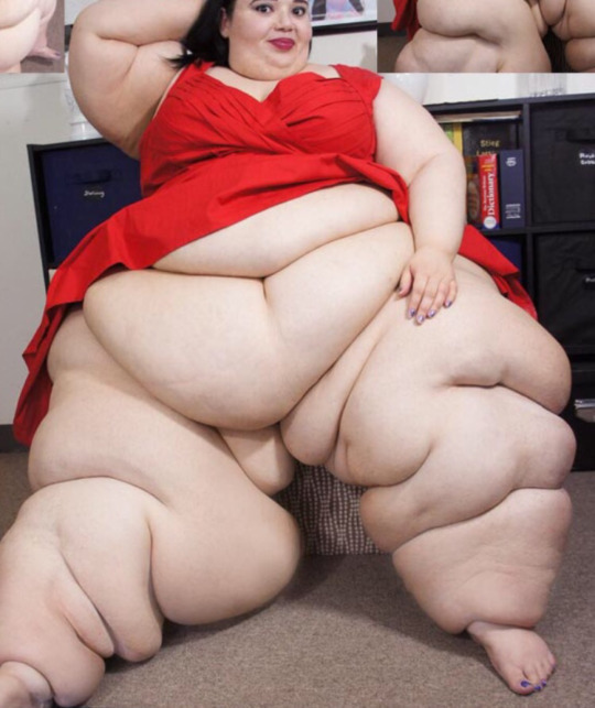 thecutewhale:  They are a special breed, these men who seek to hand feed super fat