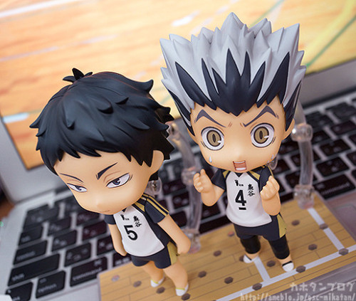 plastichusbando:【道は作りますので】1月17日（火）案内開始！「ねんどろいど 赤葦京治」をご紹介◎